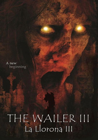 Okładka filmu The Wailer 3