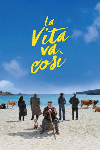 Okładka filmu La vita va così
