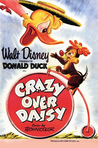 Okładka filmu Szalejąc za Daisy