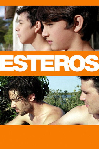 Okładka filmu Esteros
