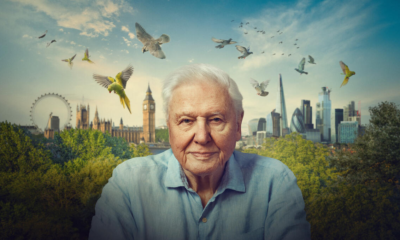 Zdjęcie okładkowe wpisu: Sir David Attenborough 8 maja obchodzi 100 urodziny! BBC Earth świętuje jubileusz specjalną urodzinową ramówką
