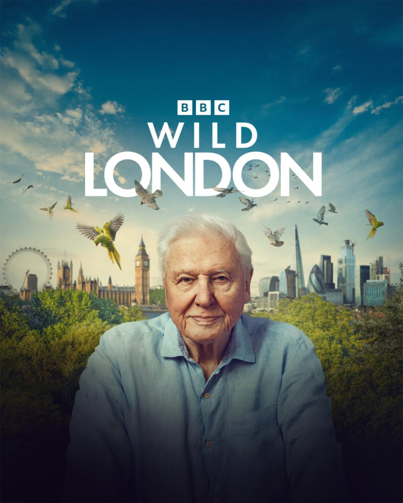 Londyn Davida Attenborough – recenzja filmu dokumentalnego! Nowe zakątki stolicy UK
