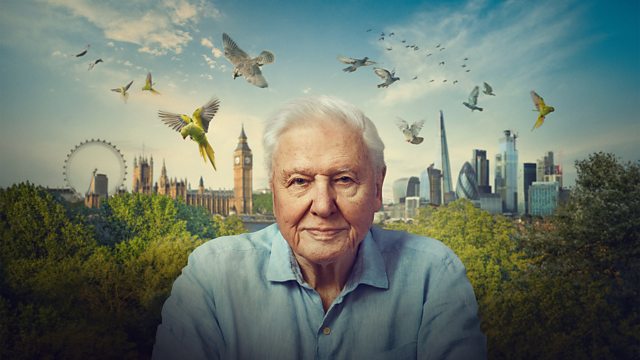 Zdjęcie okładkowe wpisu: „Chcieliśmy inspirować, a nie przytłaczać” – wywiad z producentem „Londynu Davida Attenborough”