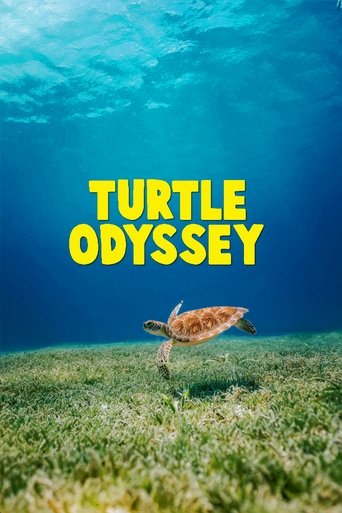 Okładka filmu Obsada filmu Żółwia odyseja