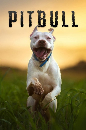 Okładka filmu Obsada filmu Pitbull