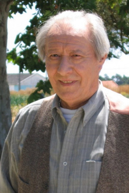 Zdjęcie Henrique Viana