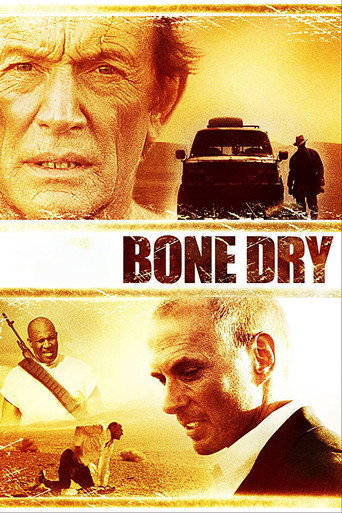 Okładka filmu Mściciel