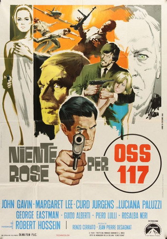 Okładka filmu Niente rose per OSS 117