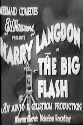Okładka filmu The Big Flash