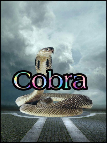 Okładka filmu Cobra