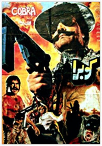 Okładka filmu Cobra