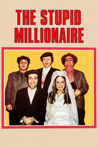 Okładka filmu The Stupid Millionaire
