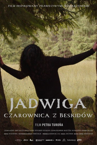 Okładka filmu Jadwiga, czarownica z Beskidów