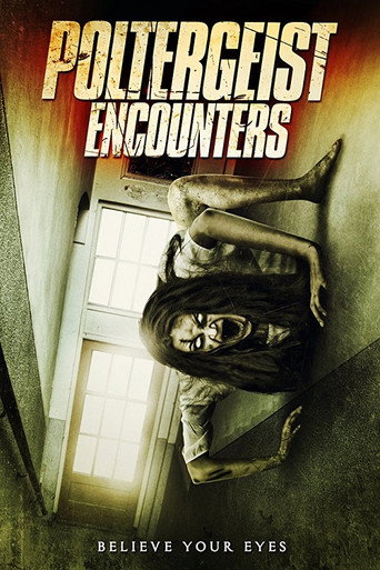 Okładka filmu Poltergeist Encounters