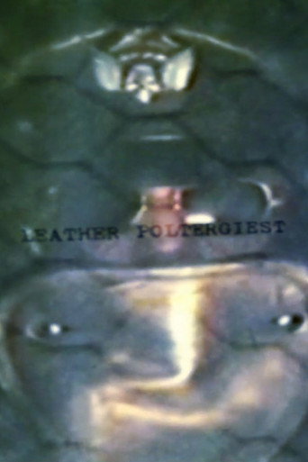 Okładka filmu Leather Poltergeist