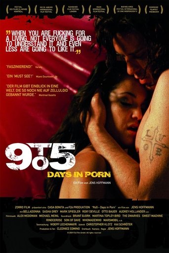 Okładka filmu 9to5: Days in Porn
