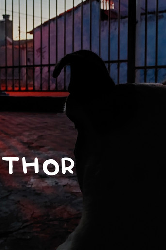 Okładka filmu Thor