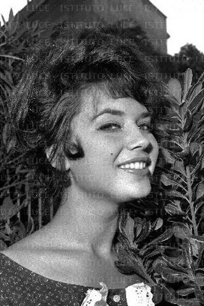 Zdjęcie Stefania Sabatini