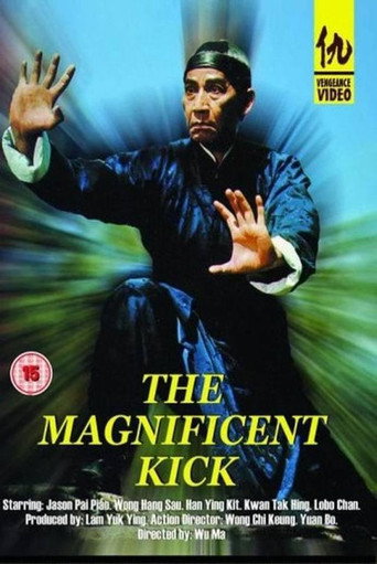 Okładka filmu The Magnificent Kick
