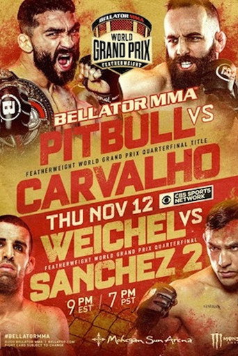 Okładka filmu Obsada filmu Bellator 252: Pitbull vs. Carvalho