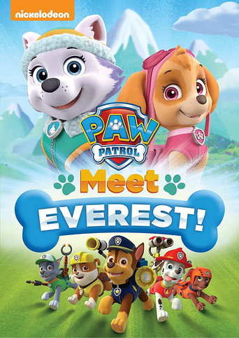 Okładka filmu PAW Patrol: Meet Everest