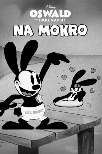 Okładka filmu Na mokro