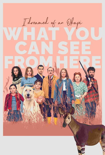Okładka filmu Sen o okapi