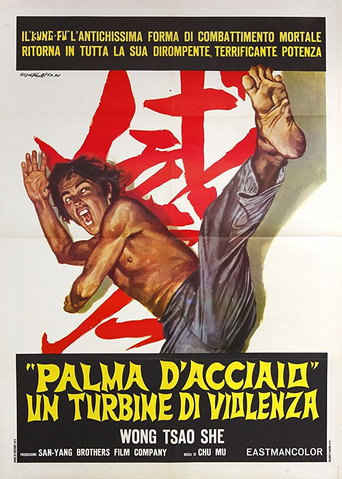Okładka filmu Wu di tie sha zhang