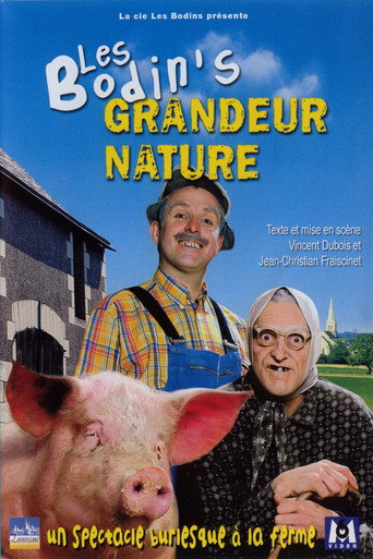 Okładka filmu Les Bodin’s – Grandeur Nature