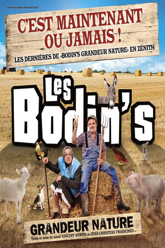 Okładka filmu Les Bodin’s – Grandeur Nature – La Dernière Des Zénith