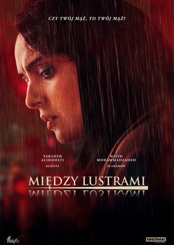 Okładka filmu Między lustrami