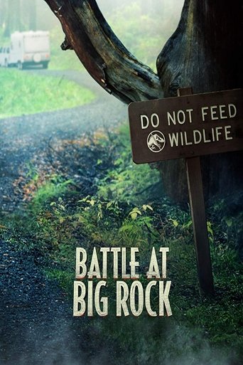 Okładka filmu Bitwa w Big Rock